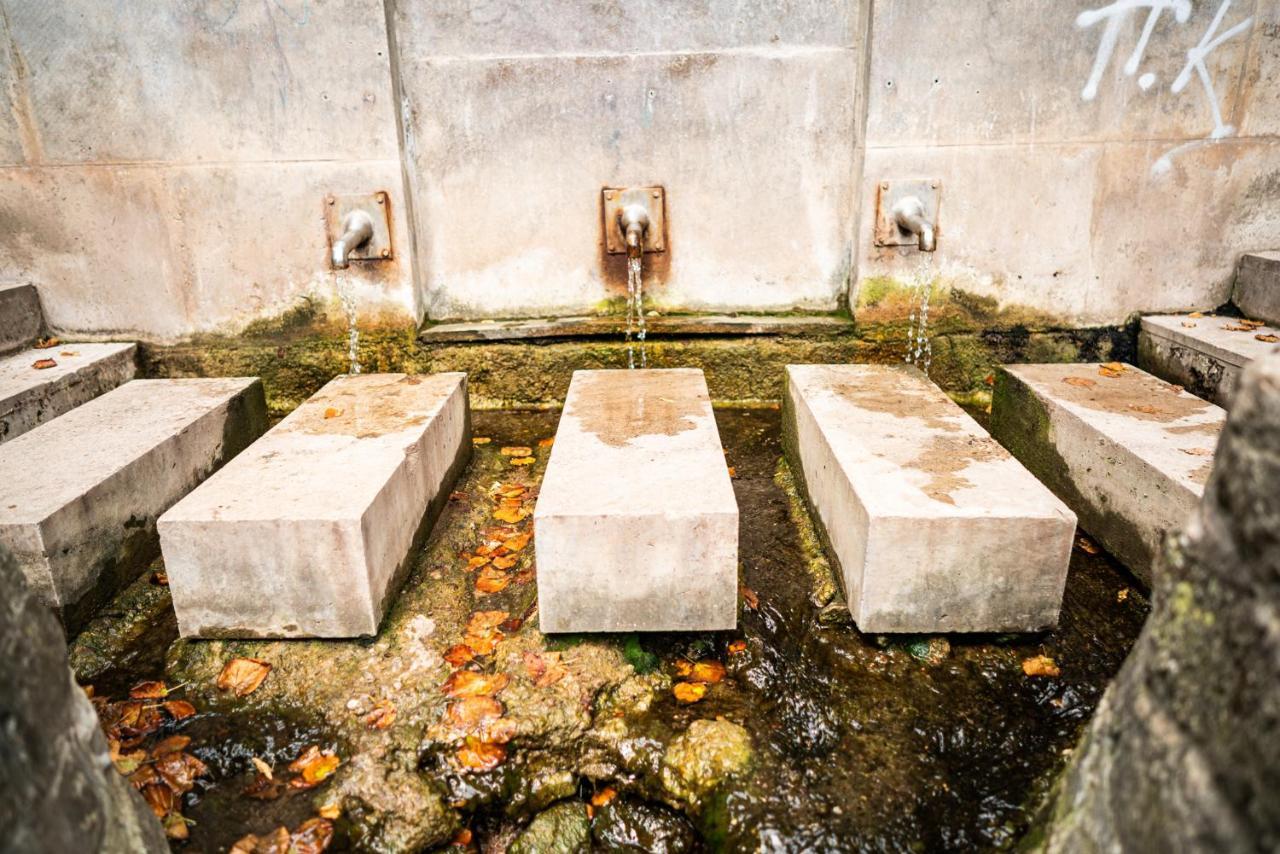 Dreibrunnen Gaestehaus Im Luisenpark Erfurt Exterior foto