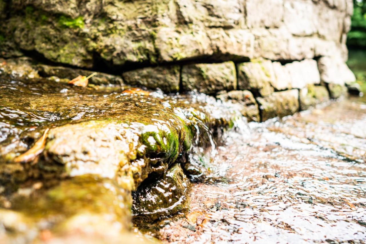 Dreibrunnen Gaestehaus Im Luisenpark Erfurt Exterior foto
