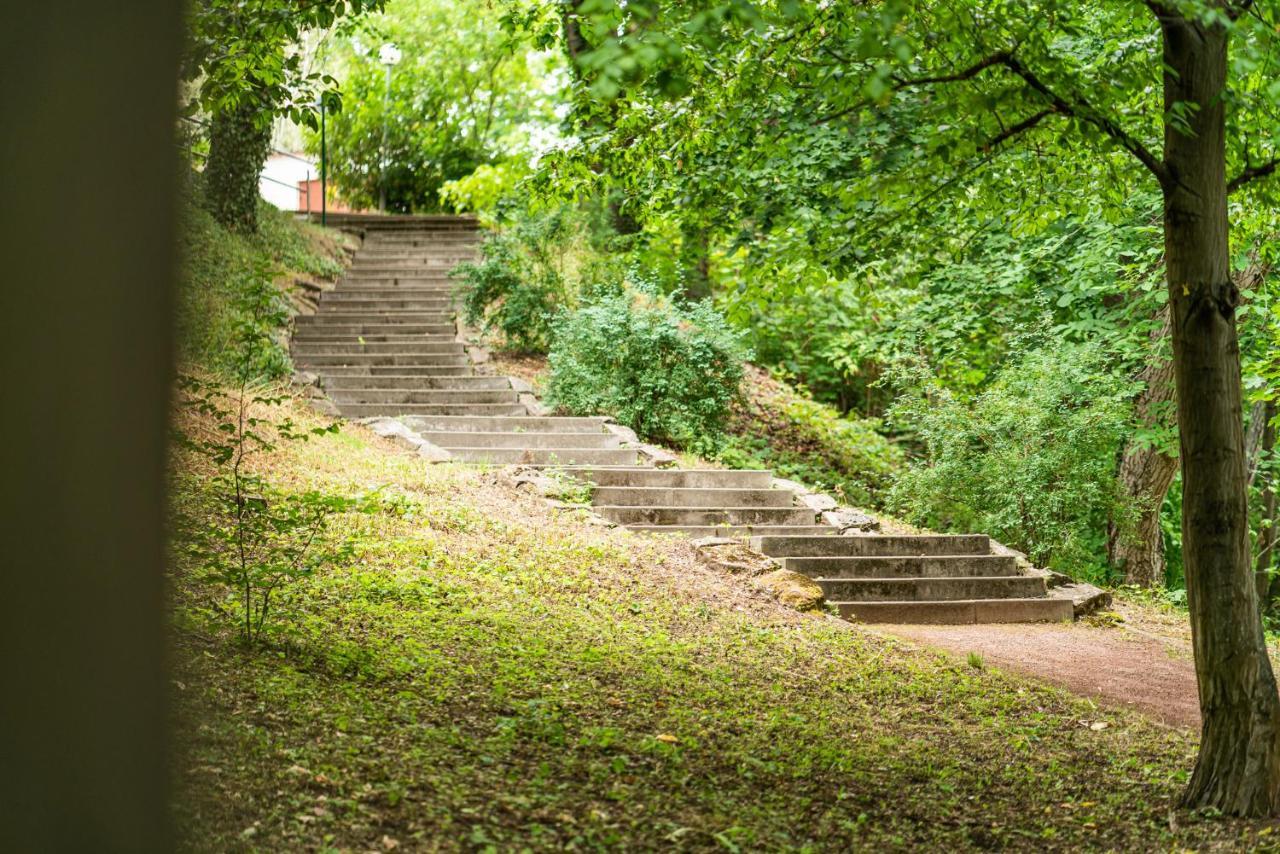 Dreibrunnen Gaestehaus Im Luisenpark Erfurt Exterior foto